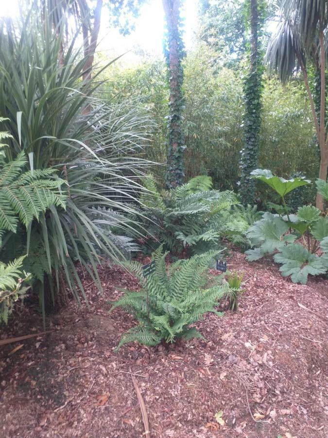 Un Jardin En Pente Douce Villa Locquénolé Kültér fotó