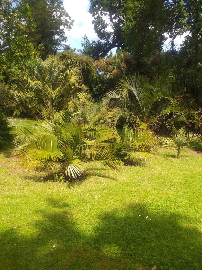 Un Jardin En Pente Douce Villa Locquénolé Kültér fotó
